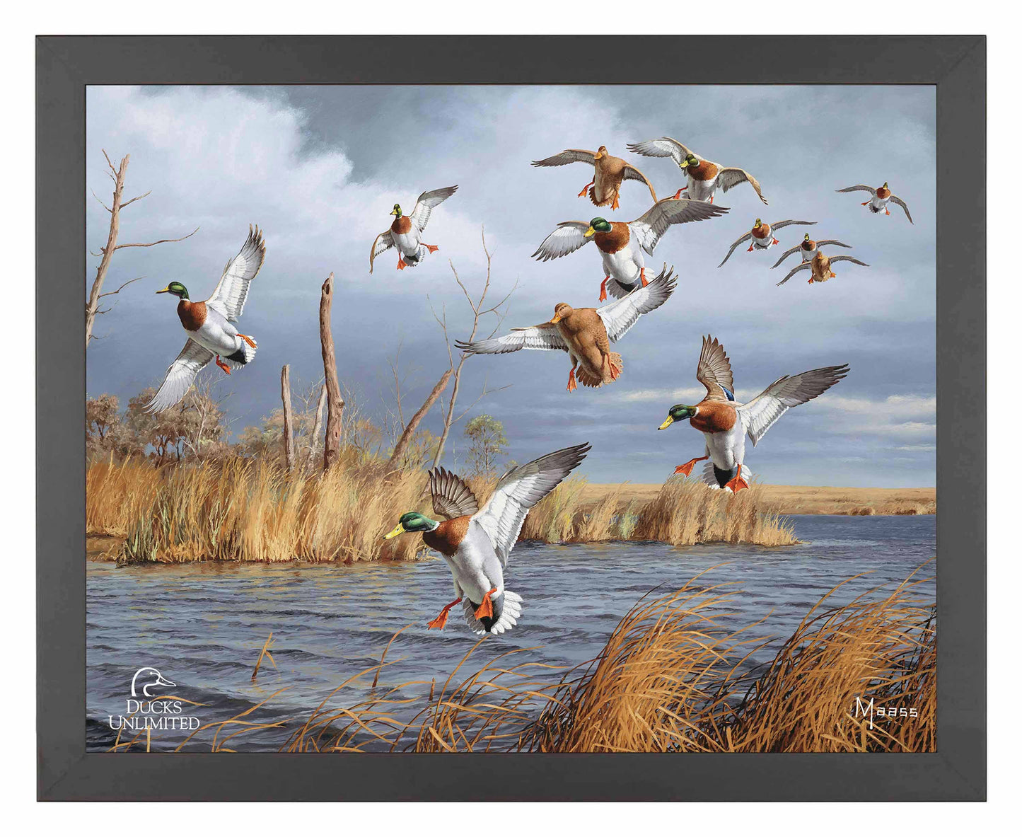 Greenhead Alert Mallards Art Prints - Official Ducks Unlimited Art