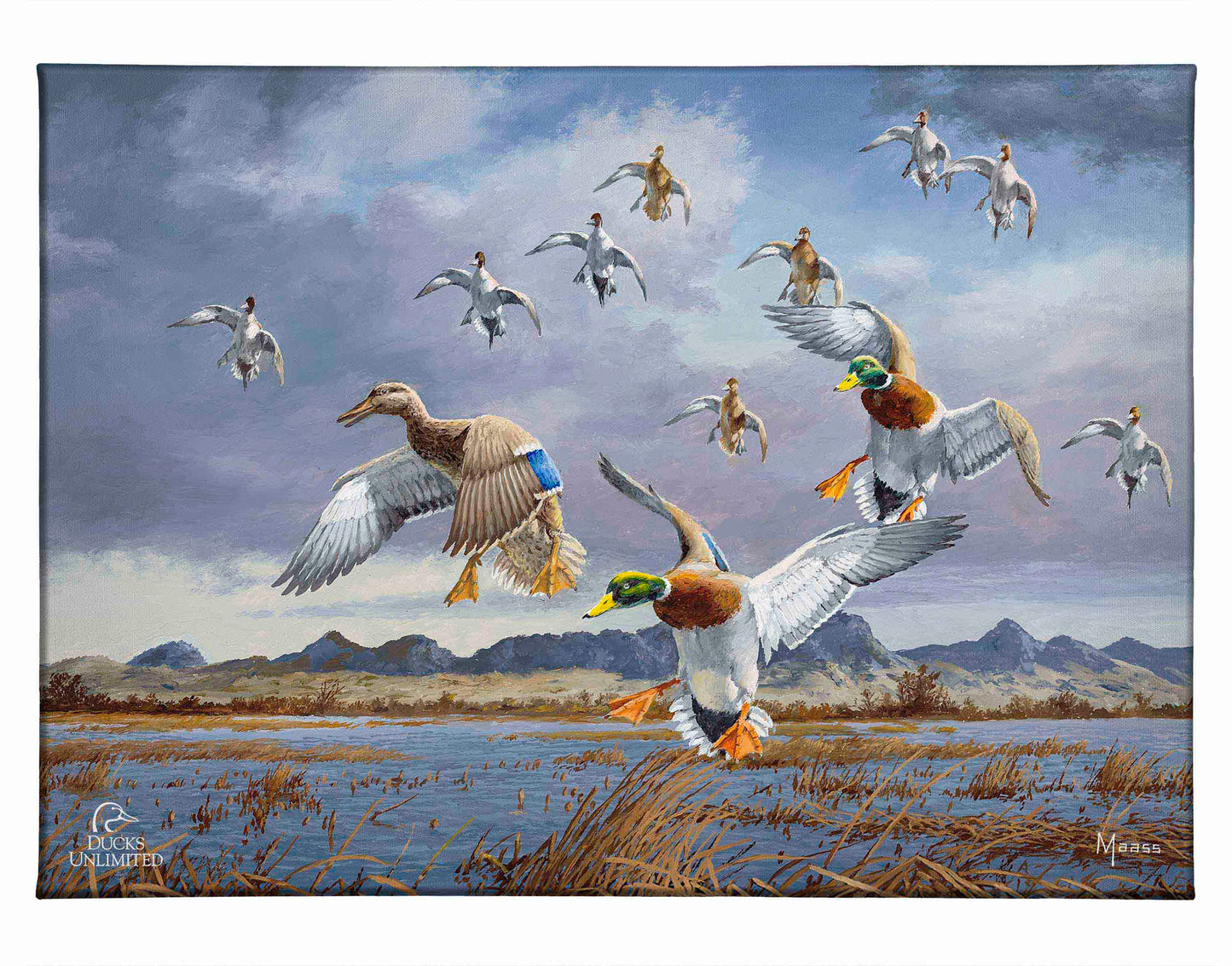 In Before the Squall - Mallards and Pintails at the Sutter Buttes Gallery Wrapped Canvas - Official Ducks Unlimited Art