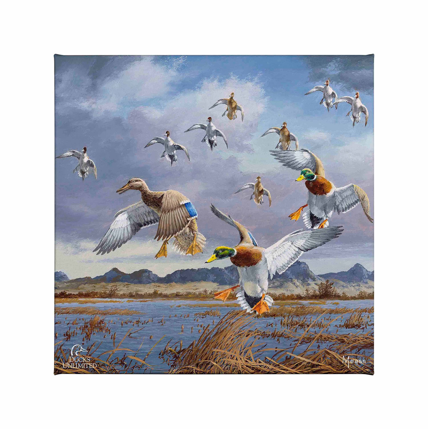 In Before the Squall - Mallards and Pintails at the Sutter Buttes Gallery Wrapped Canvas - Official Ducks Unlimited Art