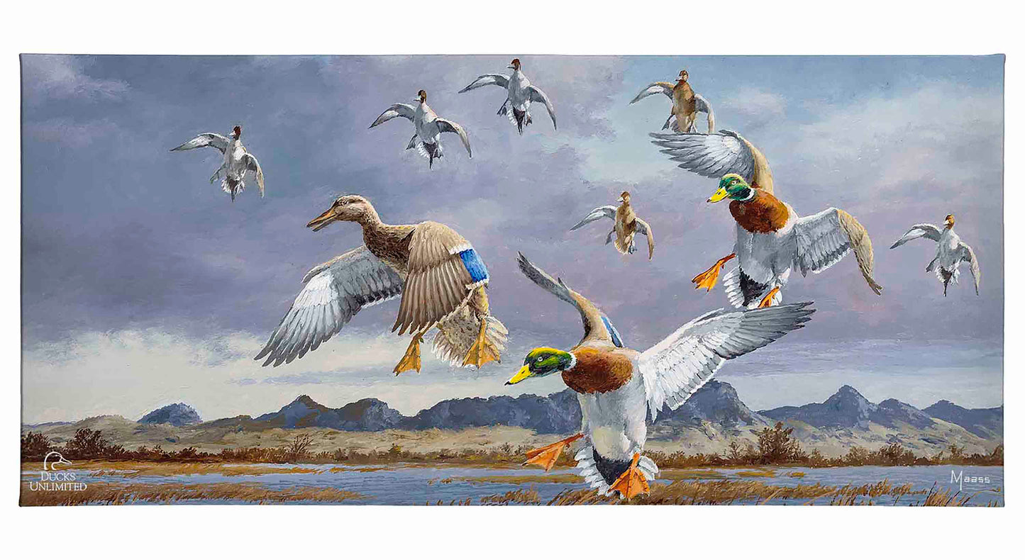 In Before the Squall - Mallards and Pintails at the Sutter Buttes Gallery Wrapped Canvas - Official Ducks Unlimited Art