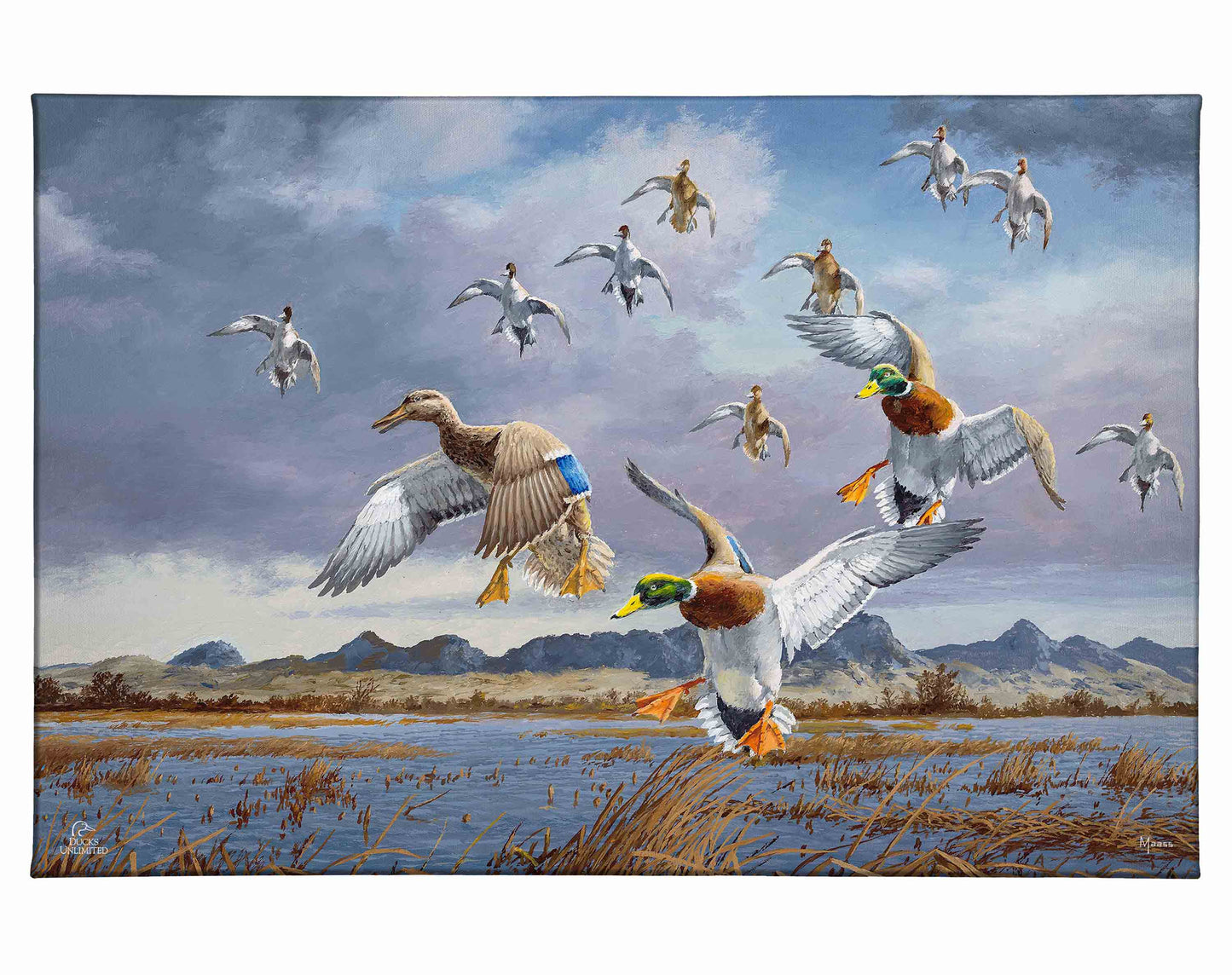 In Before the Squall - Mallards and Pintails at the Sutter Buttes Gallery Wrapped Canvas - Official Ducks Unlimited Art