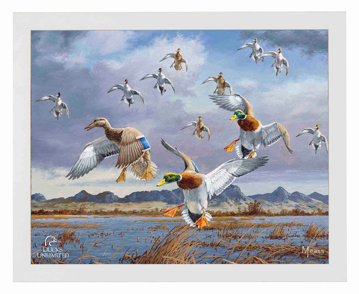 In Before the Squall - Mallards and Pintails at the Sutter Buttes Art Prints - Official Ducks Unlimited Art