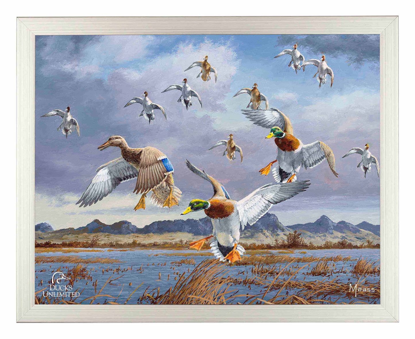 In Before the Squall - Mallards and Pintails at the Sutter Buttes Art Prints - Official Ducks Unlimited Art