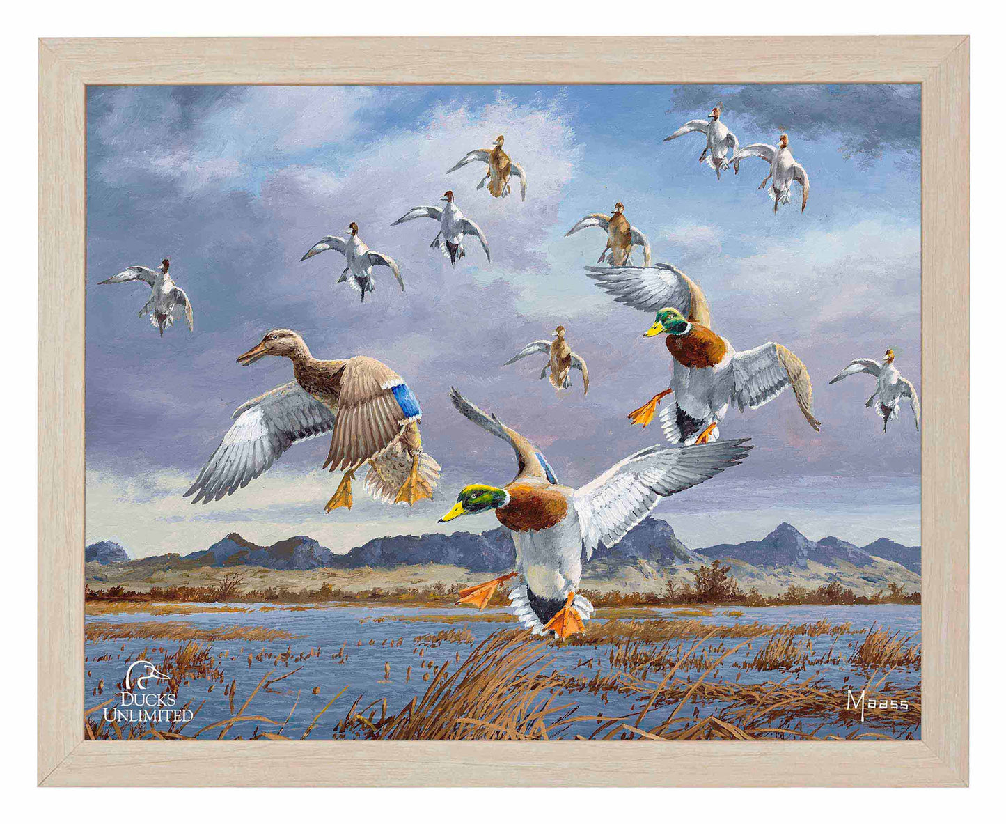 In Before the Squall - Mallards and Pintails at the Sutter Buttes Art Prints - Official Ducks Unlimited Art