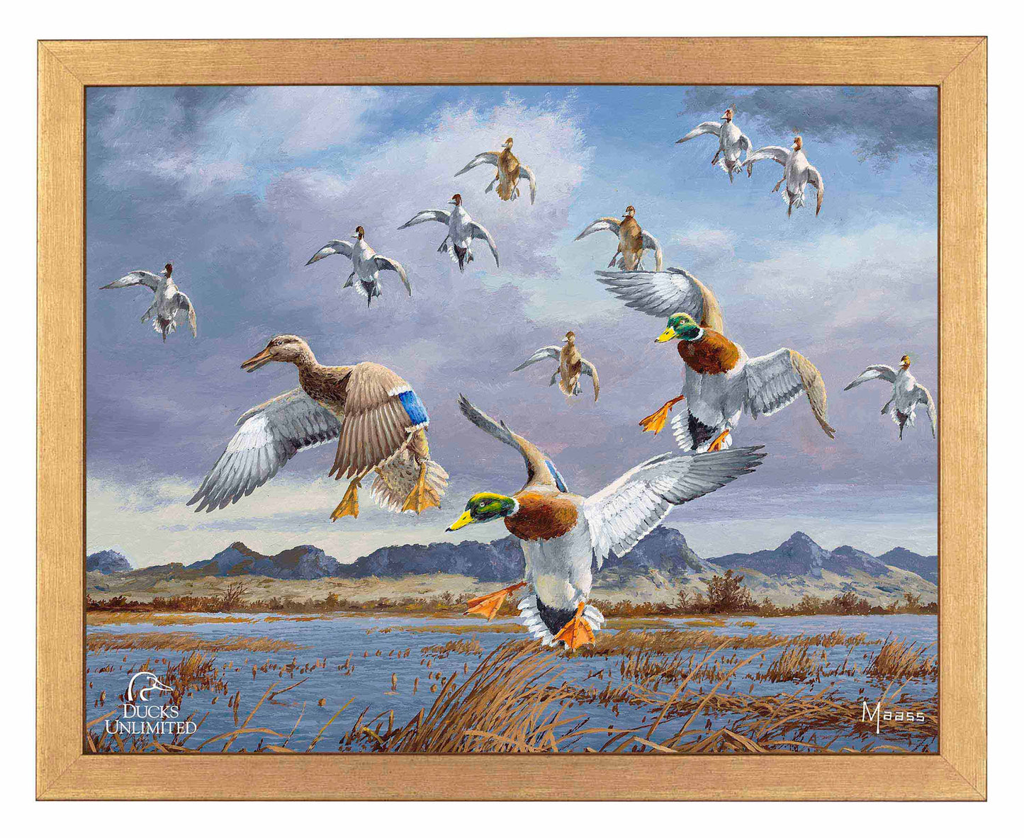 In Before the Squall - Mallards and Pintails at the Sutter Buttes Art Prints - Official Ducks Unlimited Art