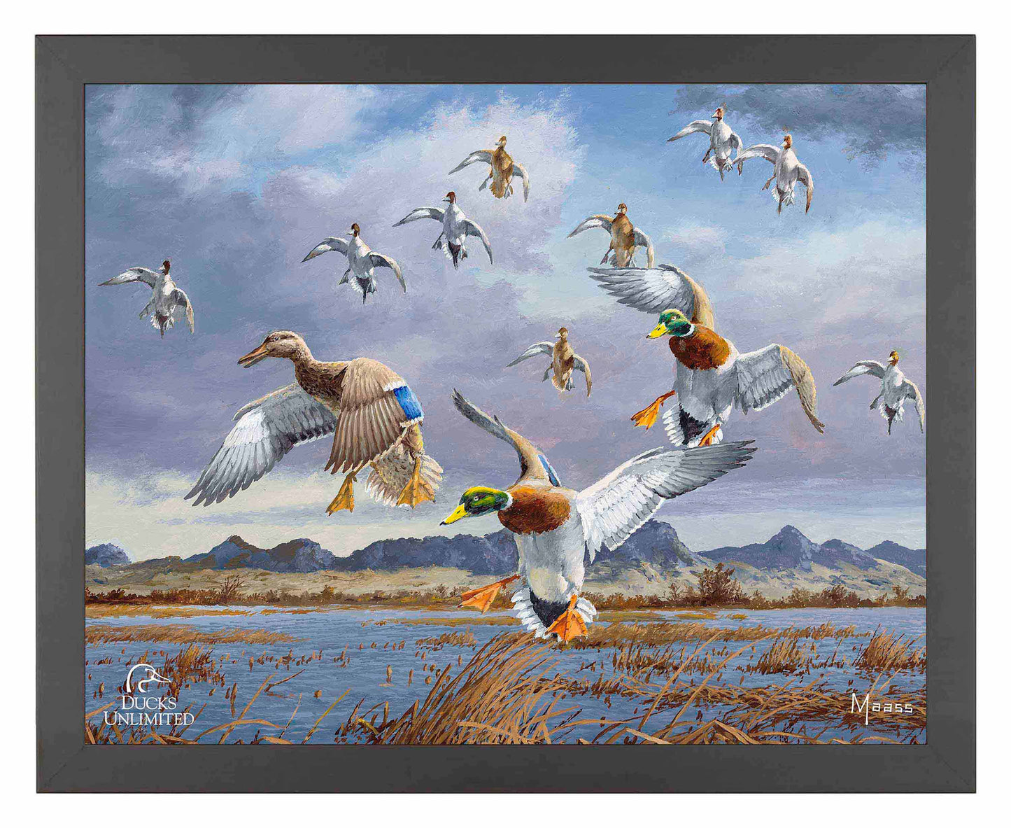 In Before the Squall - Mallards and Pintails at the Sutter Buttes Art Prints - Official Ducks Unlimited Art
