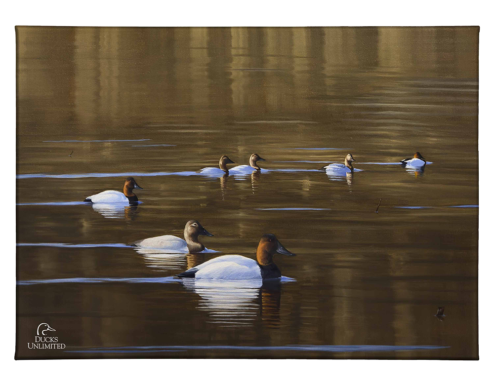 Kings March Gallery Wrapped Canvas - Official Ducks Unlimited Art