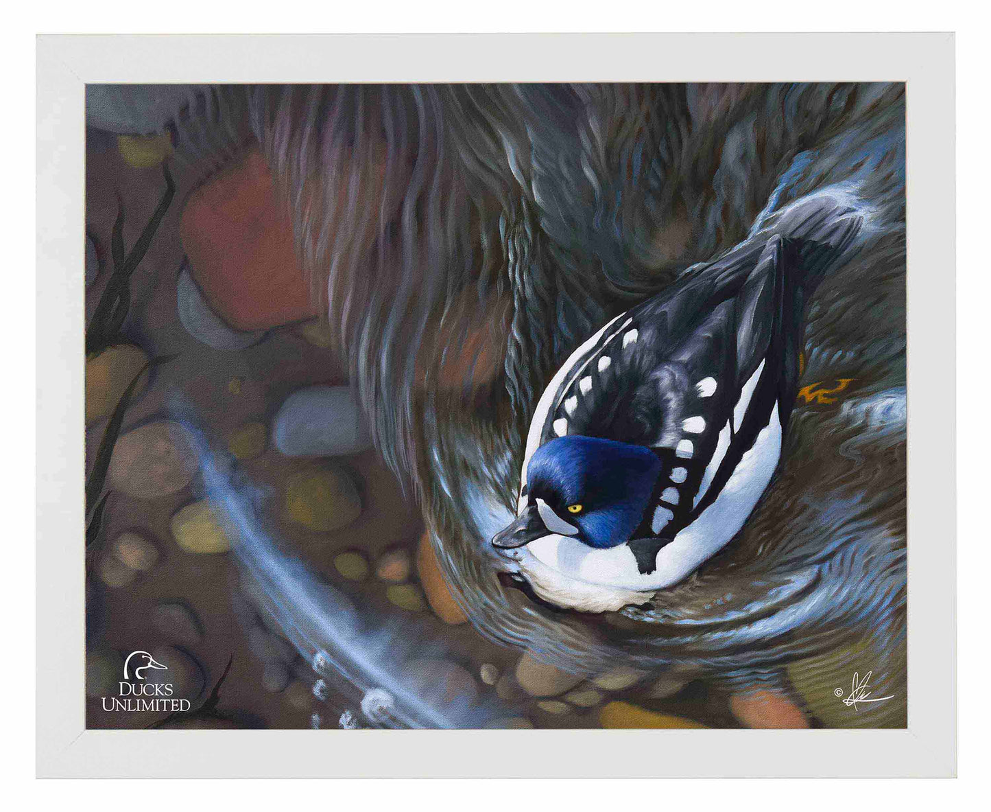 Lamar River Divers Art Prints - Official Ducks Unlimited Art