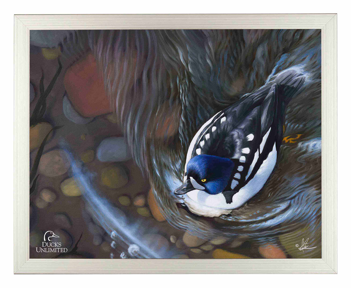 Lamar River Divers Art Prints - Official Ducks Unlimited Art