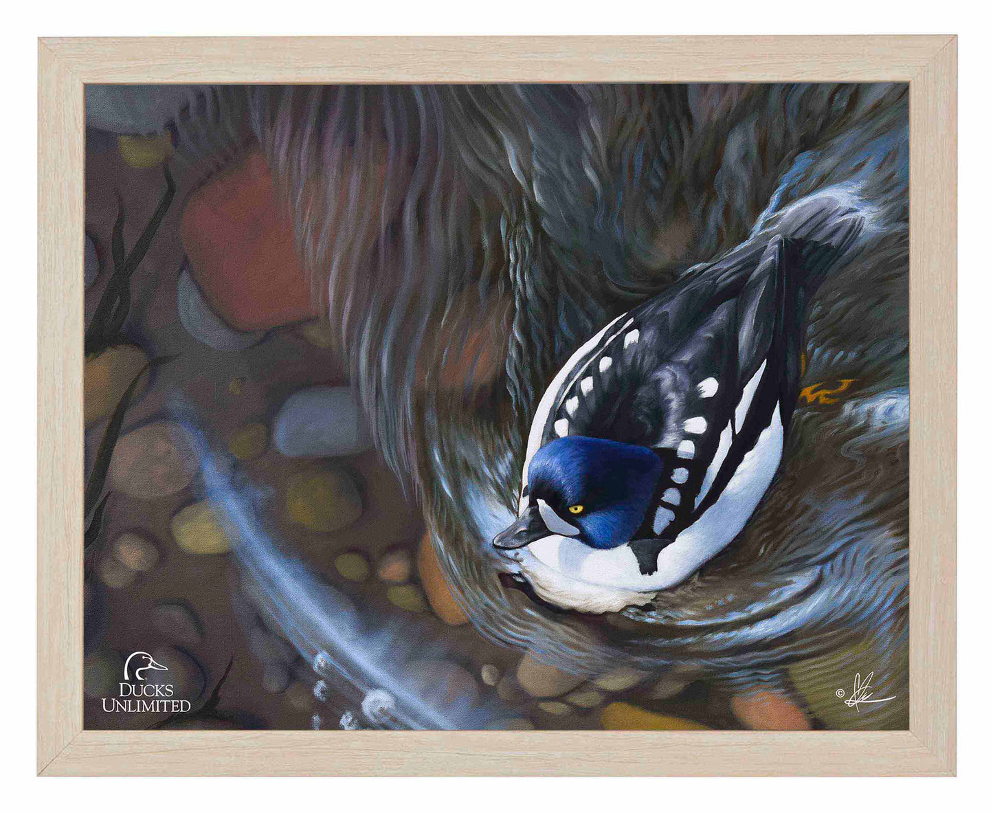 Lamar River Divers Art Prints - Official Ducks Unlimited Art