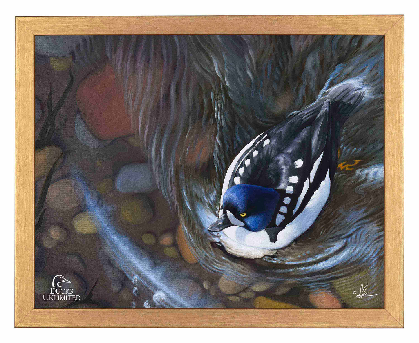 Lamar River Divers Art Prints - Official Ducks Unlimited Art