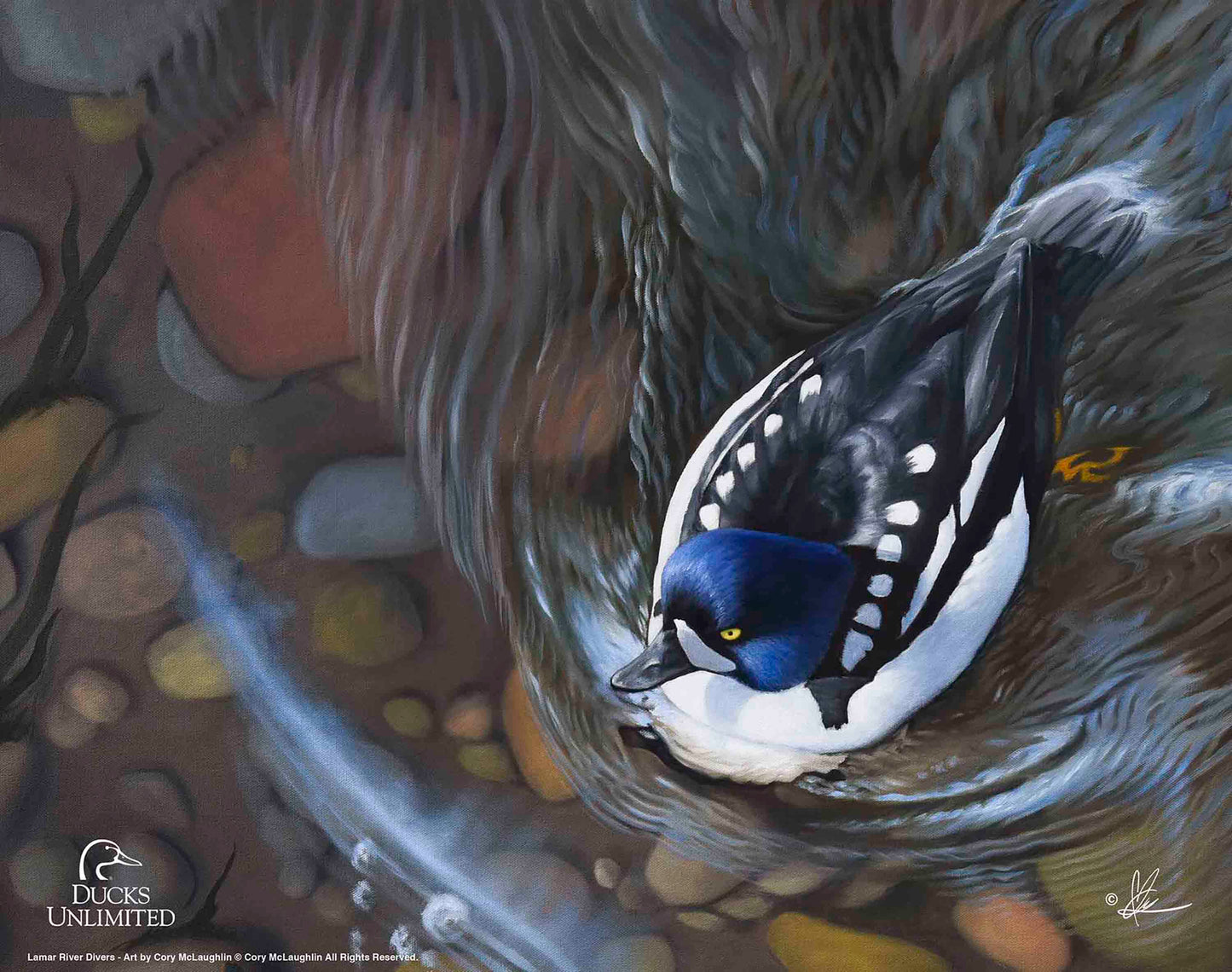 Lamar River Divers Art Prints - Official Ducks Unlimited Art