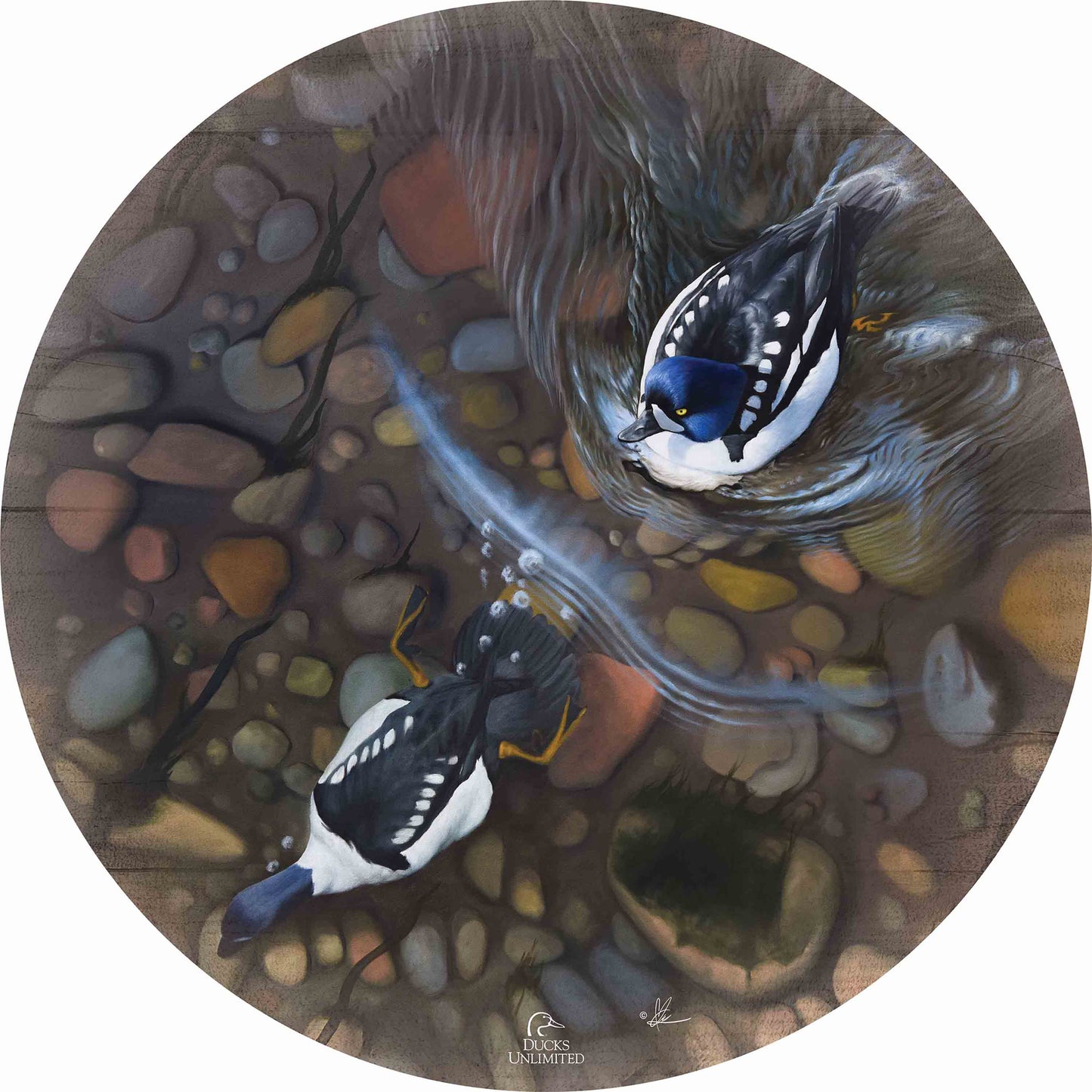 Lamar River Divers  21" Round Wood Sign  - Official Ducks Unlimited Art