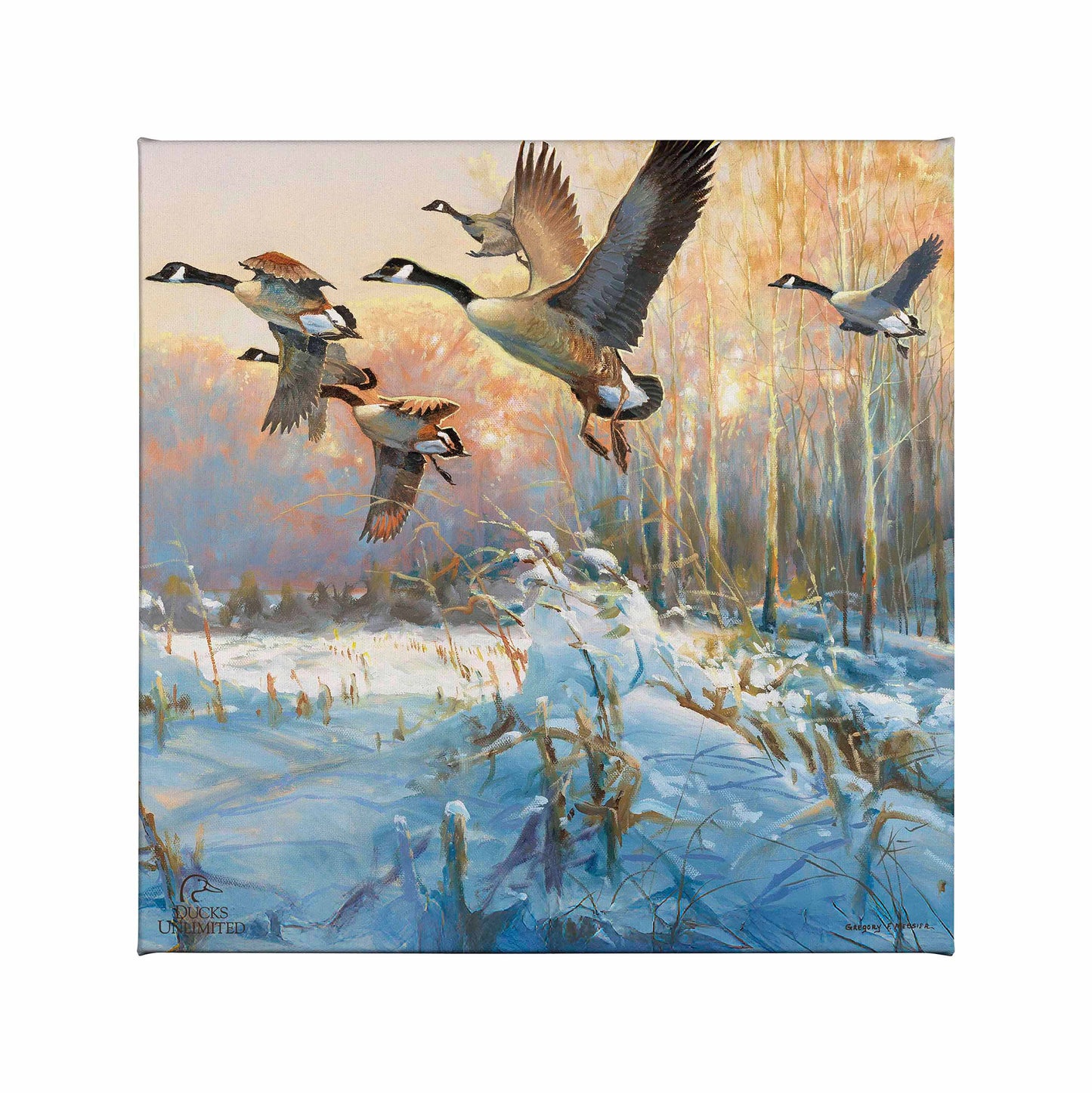 Late Departure - Canada Geese Gallery Wrapped Canvas - Official Ducks Unlimited Art