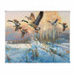 Late Departure - Canada Geese Gallery Wrapped Canvas - Official Ducks Unlimited Art