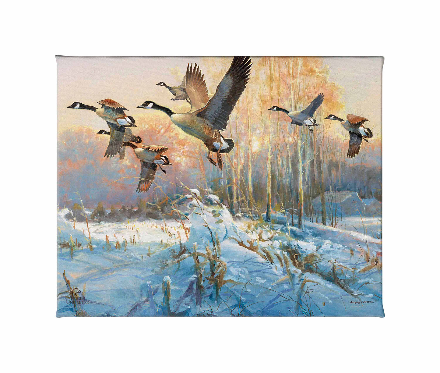 Late Departure - Canada Geese Gallery Wrapped Canvas - Official Ducks Unlimited Art