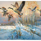 Late Departure - Canada Geese Gallery Wrapped Canvas - Official Ducks Unlimited Art