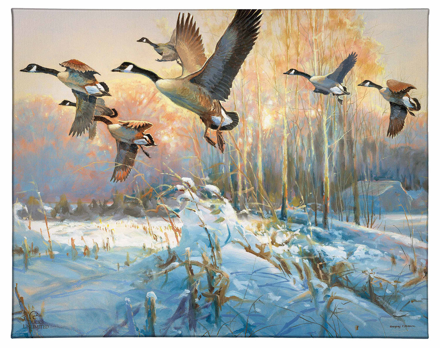 Late Departure - Canada Geese Gallery Wrapped Canvas - Official Ducks Unlimited Art