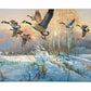 Late Departure - Canada Geese Gallery Wrapped Canvas - Official Ducks Unlimited Art