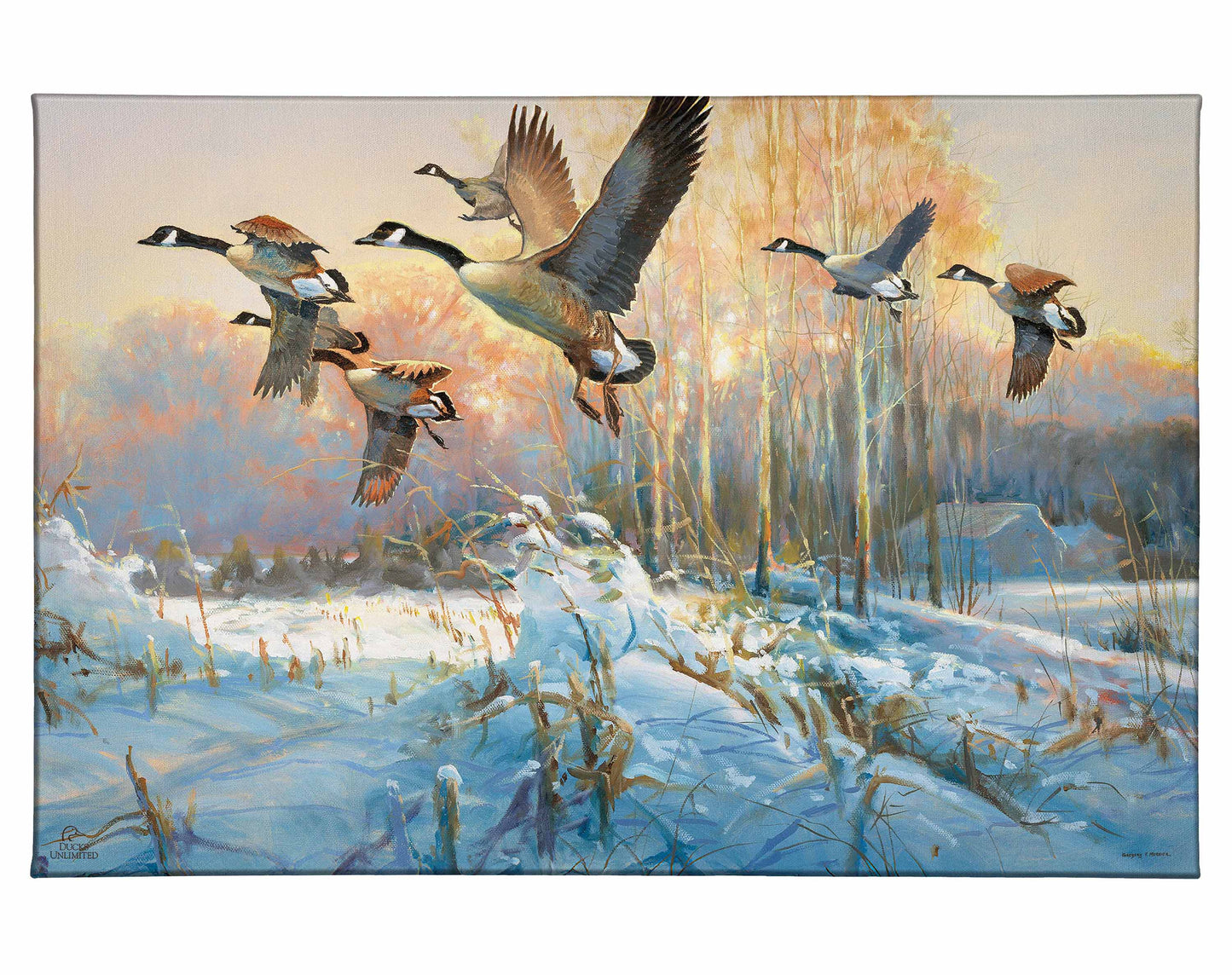 Late Departure - Canada Geese Gallery Wrapped Canvas - Official Ducks Unlimited Art