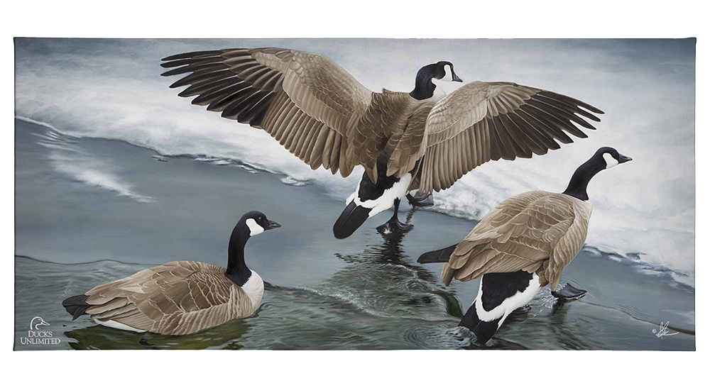 Later Winter in Yellowstone - Gallery Wrapped Canvas - Official Ducks Unlimited Art