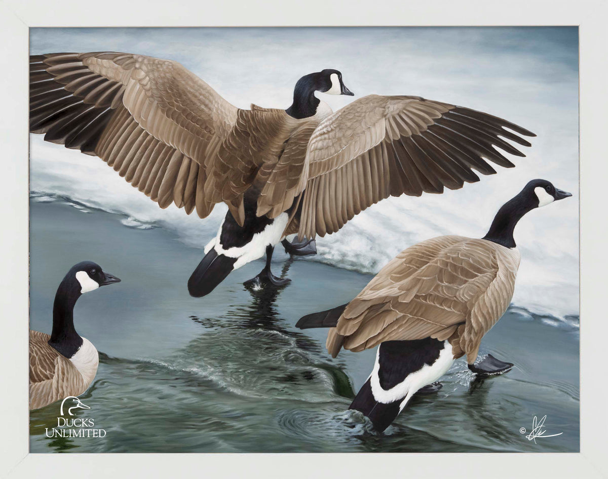 Later Winter in Yellowstone - Art Prints - Official Ducks Unlimited Art