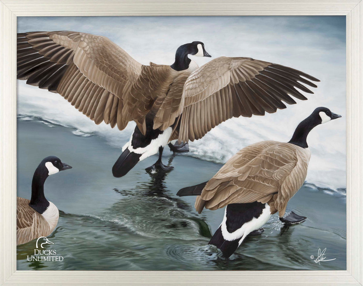 Later Winter in Yellowstone - Art Prints - Official Ducks Unlimited Art