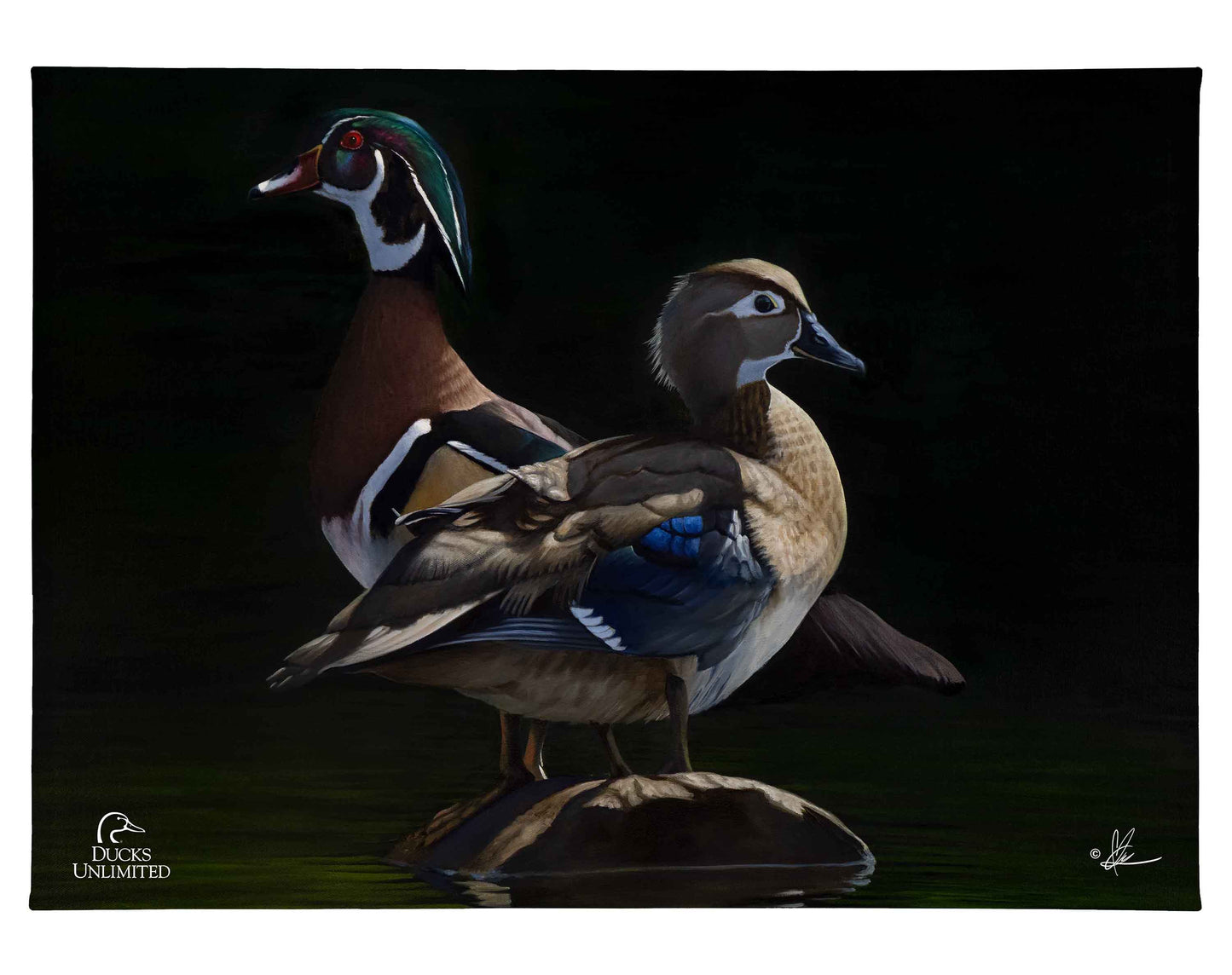 Low Water Rising Gallery Wrapped Canvas - Official Ducks Unlimited Art