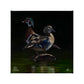 Low Water Rising Gallery Wrapped Canvas - Official Ducks Unlimited Art