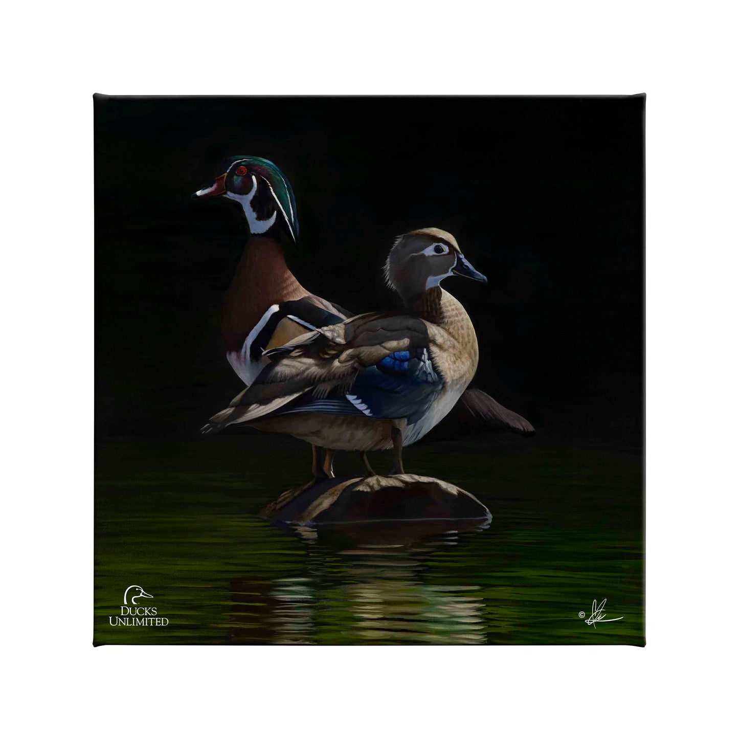 Low Water Rising Gallery Wrapped Canvas - Official Ducks Unlimited Art