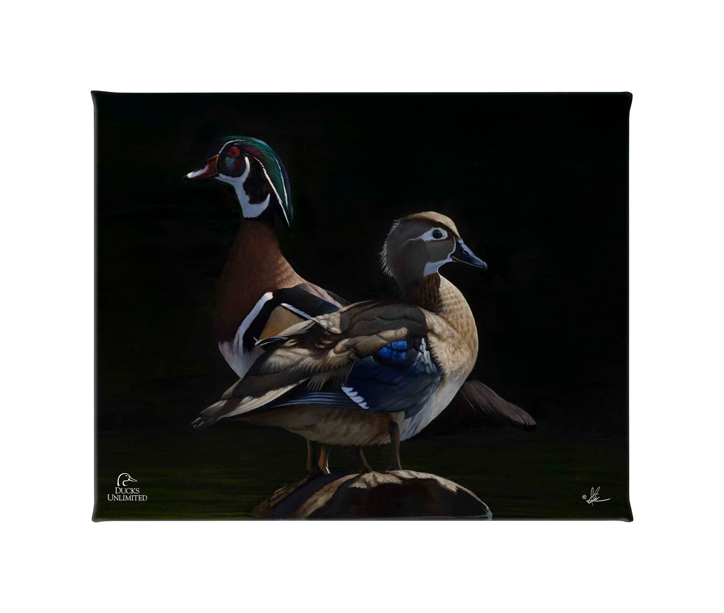 Low Water Rising Gallery Wrapped Canvas - Official Ducks Unlimited Art