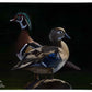 Low Water Rising Gallery Wrapped Canvas - Official Ducks Unlimited Art
