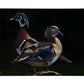 Low Water Rising Gallery Wrapped Canvas - Official Ducks Unlimited Art