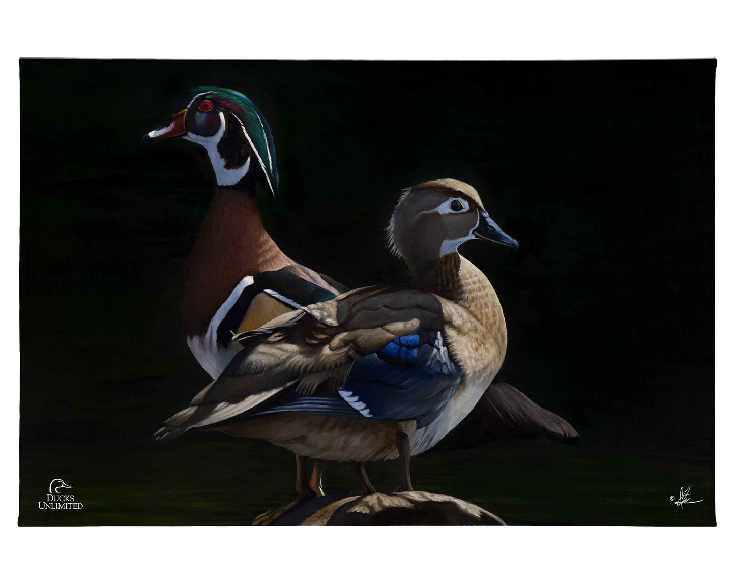 Low Water Rising Gallery Wrapped Canvas - Official Ducks Unlimited Art