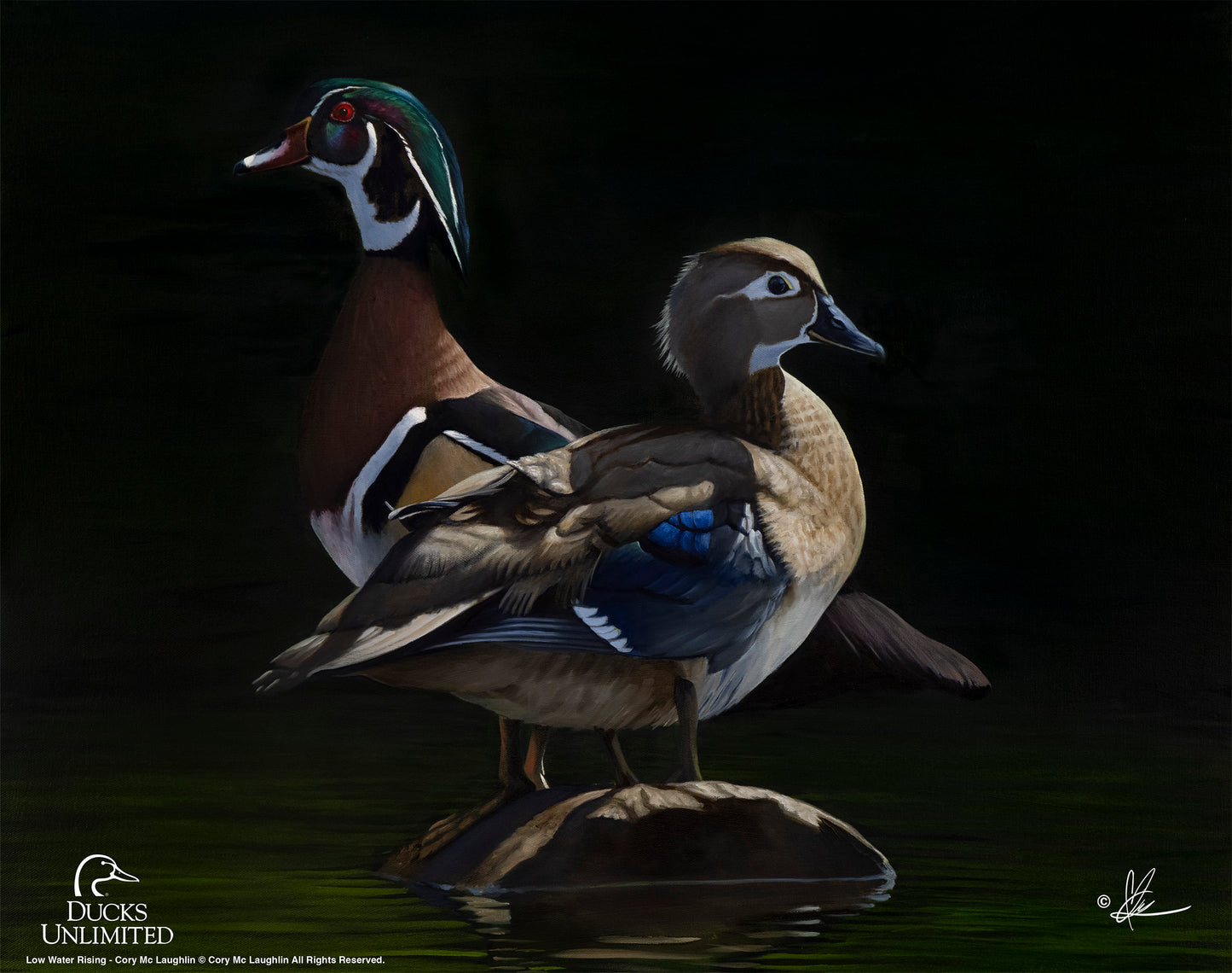 Low Water Rising Art Prints - Official Ducks Unlimited Art