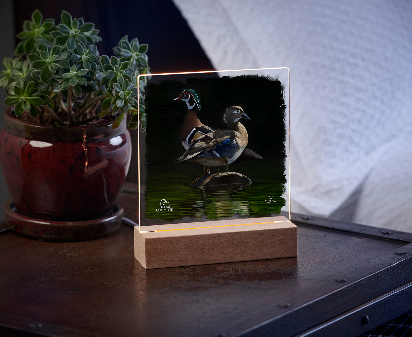 Low Water Rising 6.37" x 6" Acrylic Nightlight - Official Ducks Unlimited Art