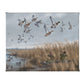 Mallards & Pintails Gallery Wrapped Canvas - Official Ducks Unlimited Art