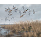 Mallards & Pintails Gallery Wrapped Canvas - Official Ducks Unlimited Art