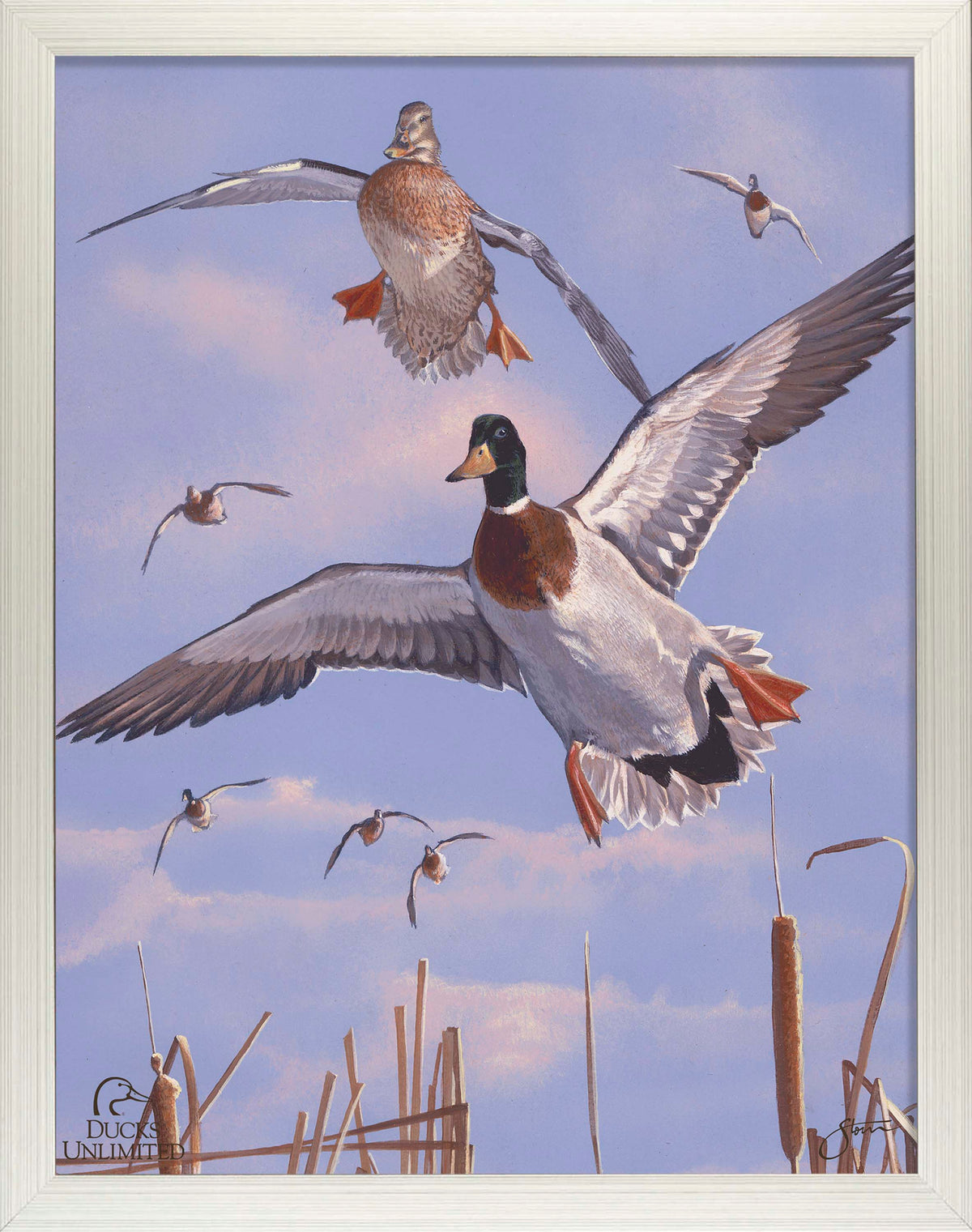 Mallards 'n' Cattails Art Prints - Official Ducks Unlimited Art