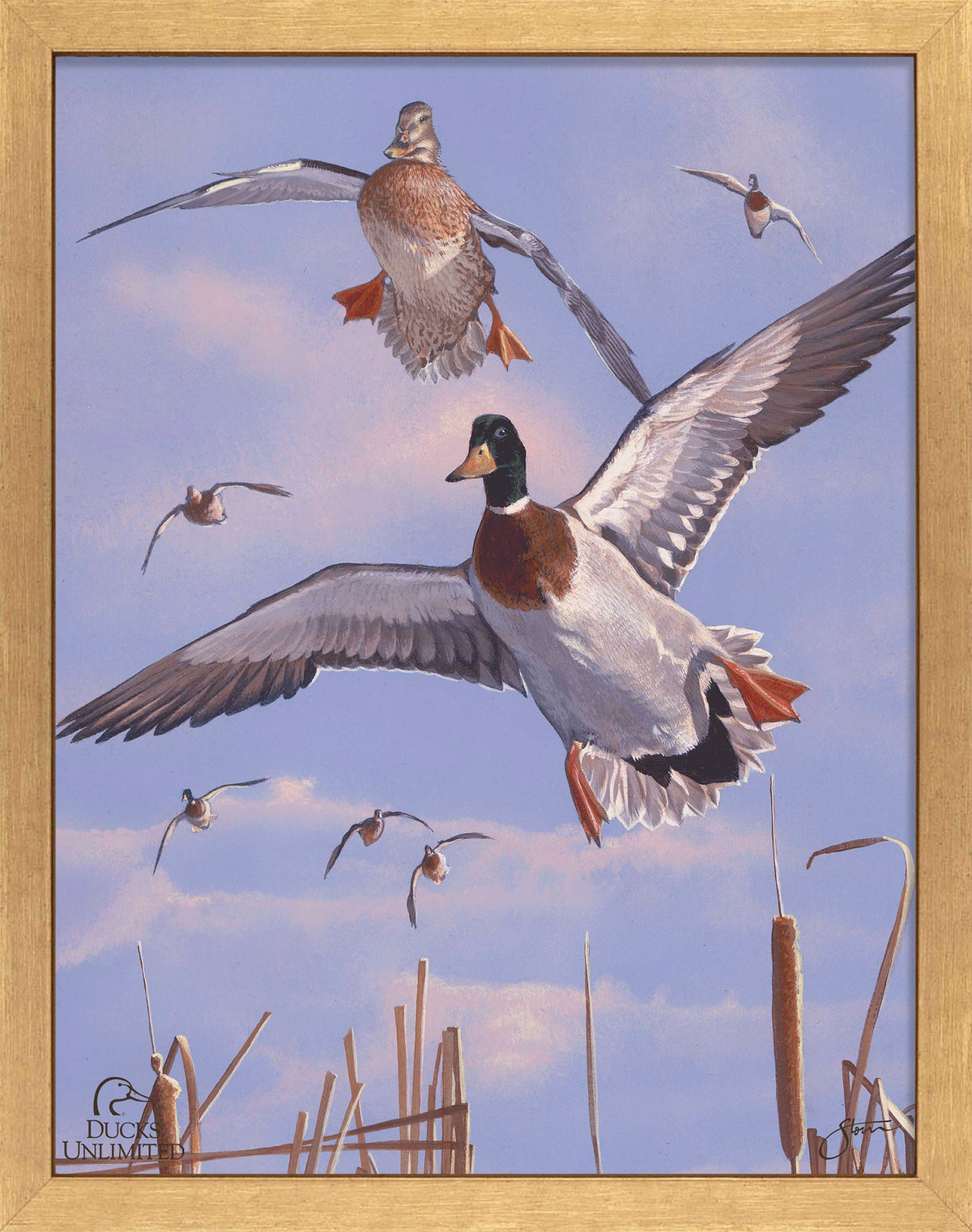 Mallards 'n' Cattails Art Prints - Official Ducks Unlimited Art
