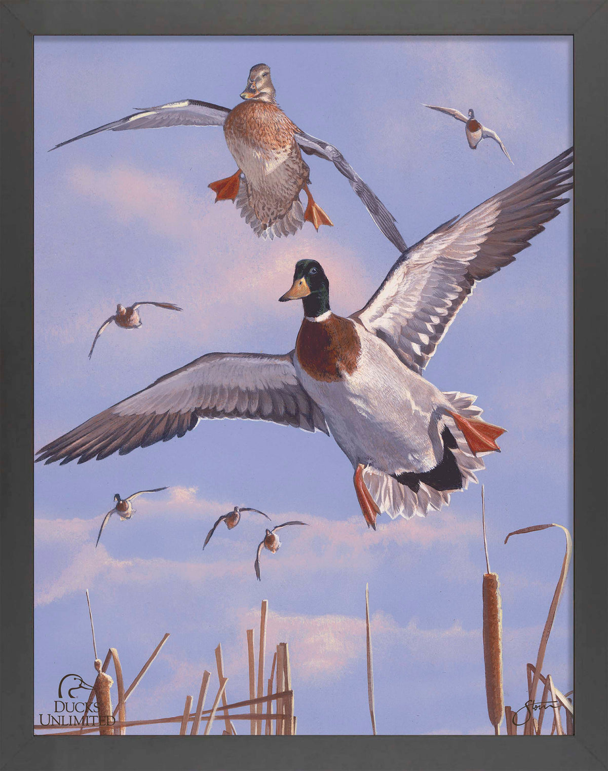 Mallards 'n' Cattails Art Prints - Official Ducks Unlimited Art