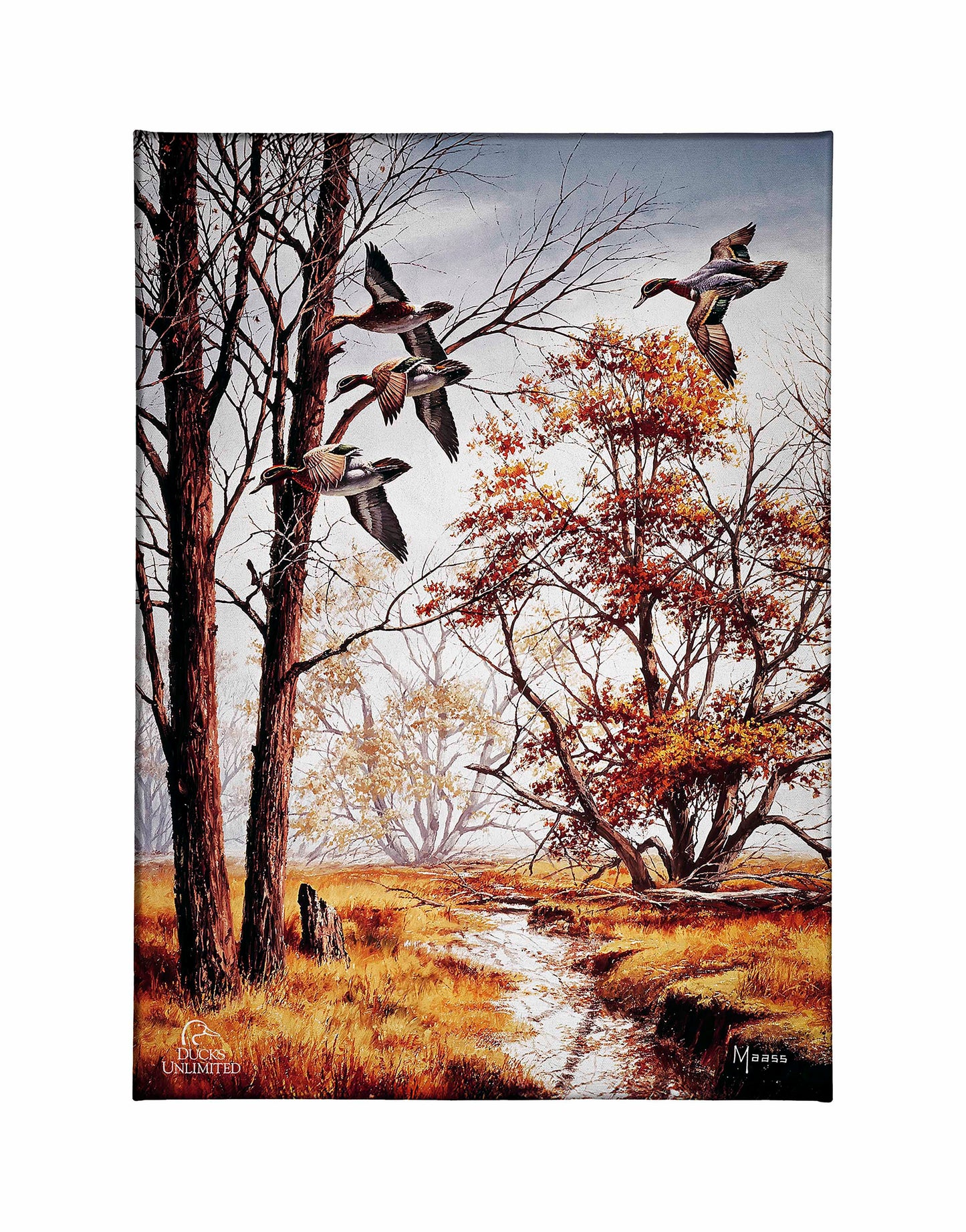 Misty Morning - Green - winged Teal Gallery Wrapped Canvas - Official Ducks Unlimited Art