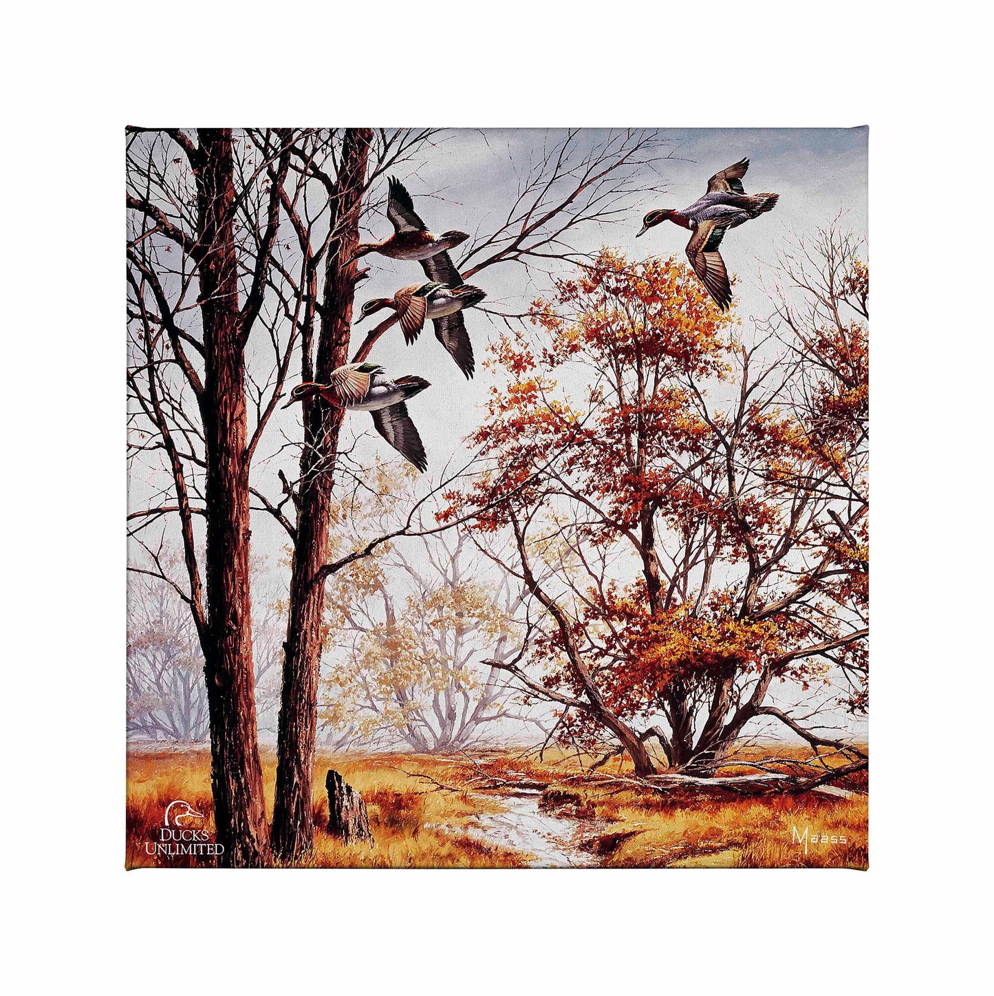 Misty Morning - Green - winged Teal Gallery Wrapped Canvas - Official Ducks Unlimited Art