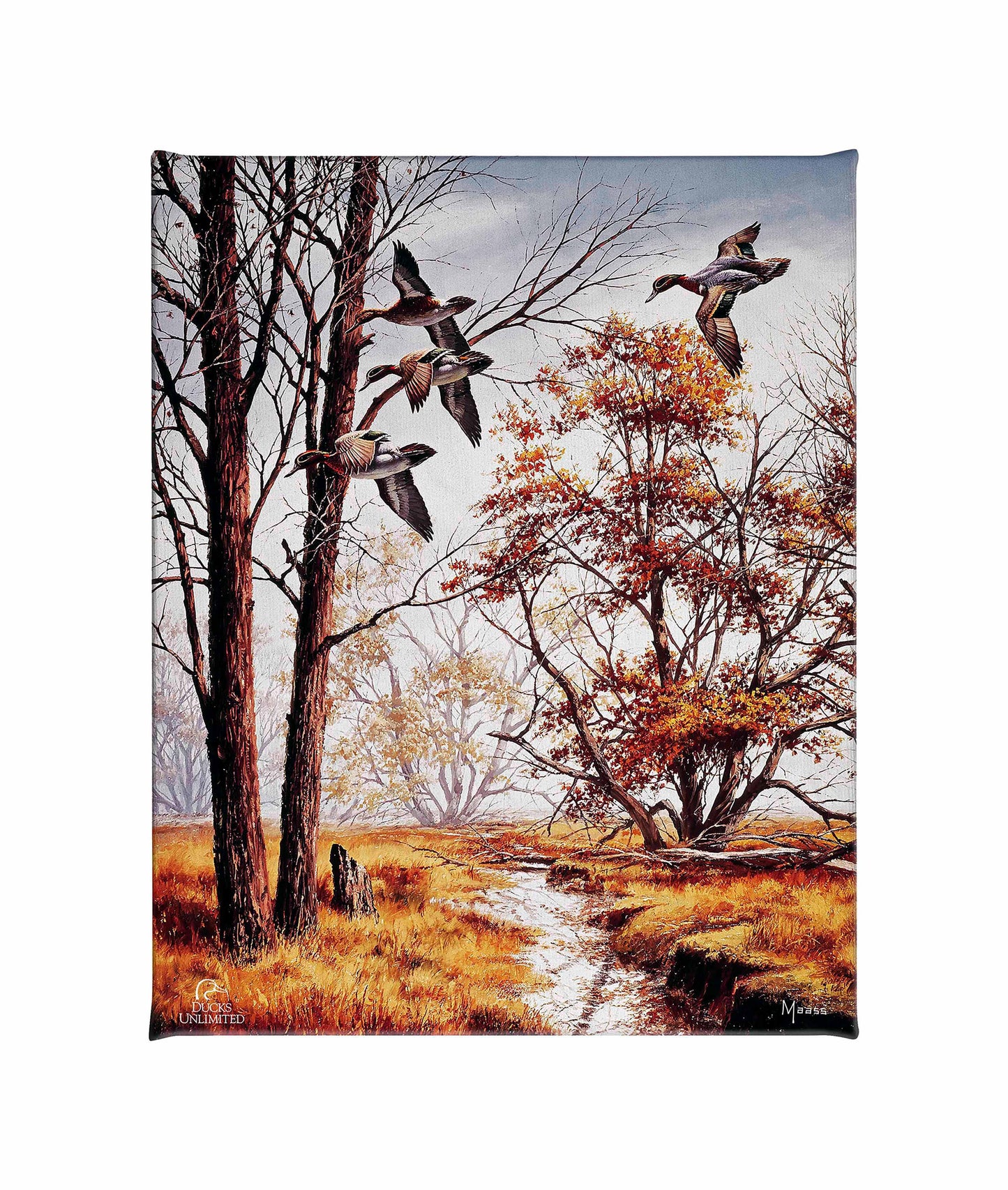Misty Morning - Green - winged Teal Gallery Wrapped Canvas - Official Ducks Unlimited Art