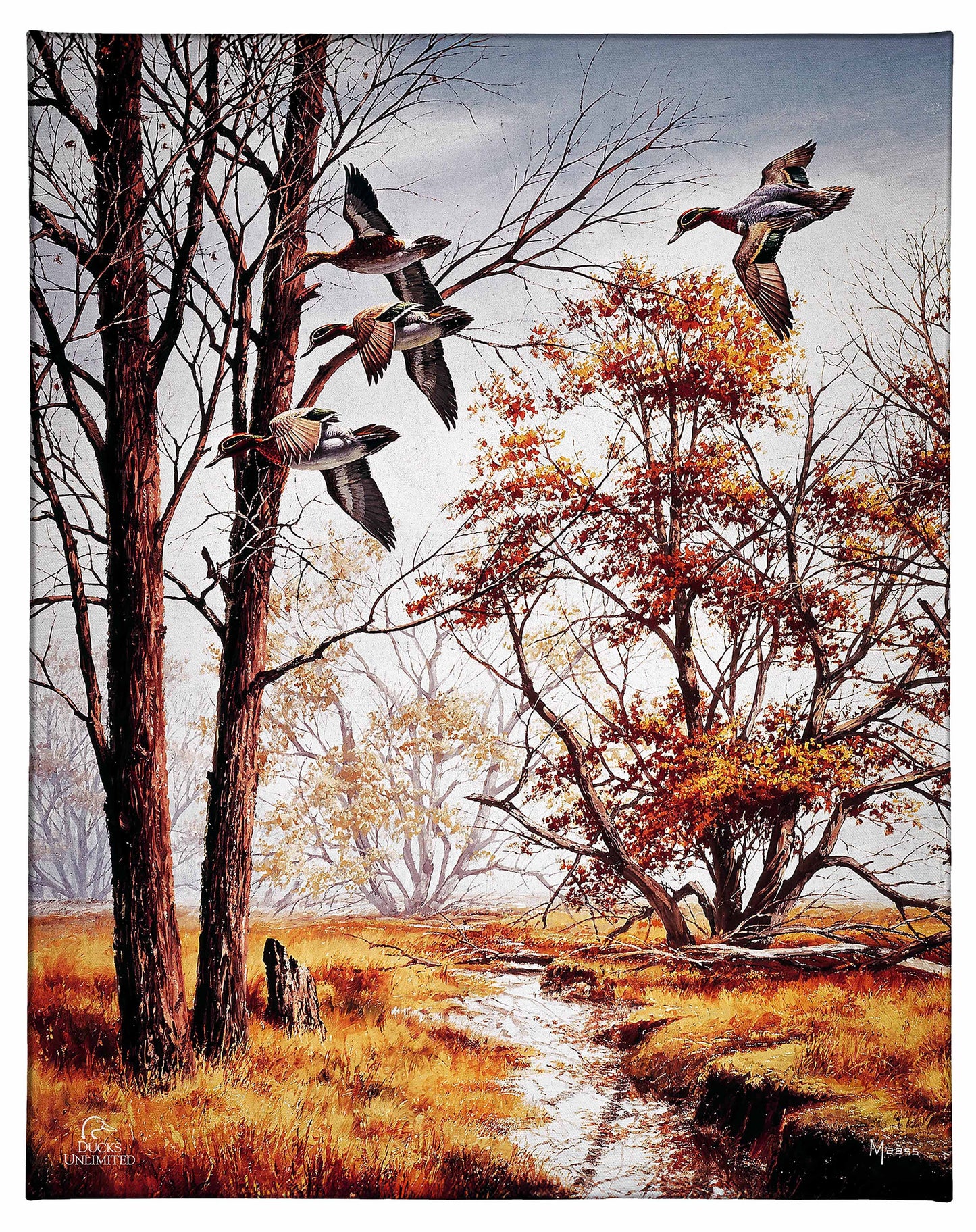 Misty Morning - Green - winged Teal Gallery Wrapped Canvas - Official Ducks Unlimited Art