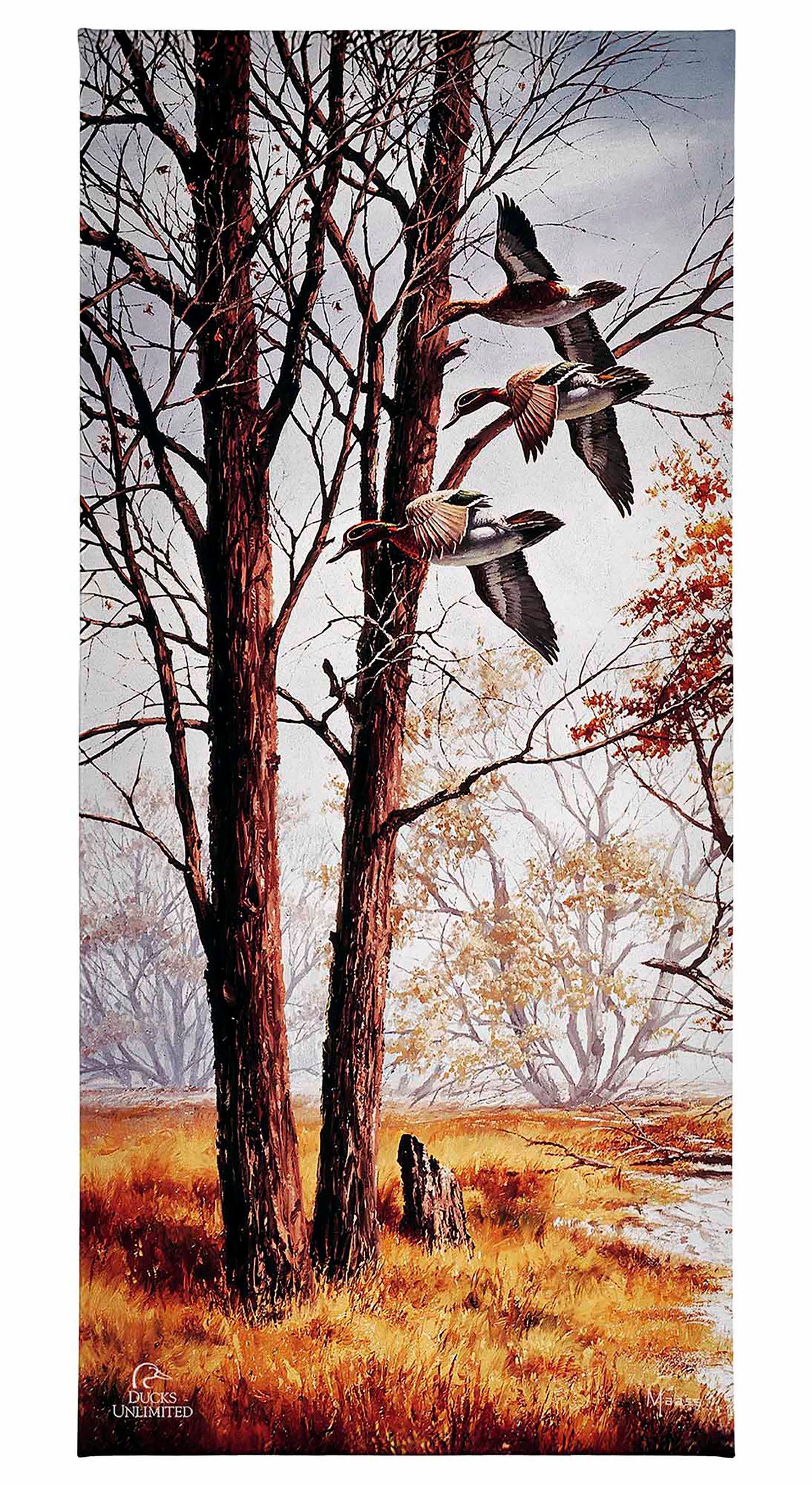 Misty Morning - Green - winged Teal Gallery Wrapped Canvas - Official Ducks Unlimited Art