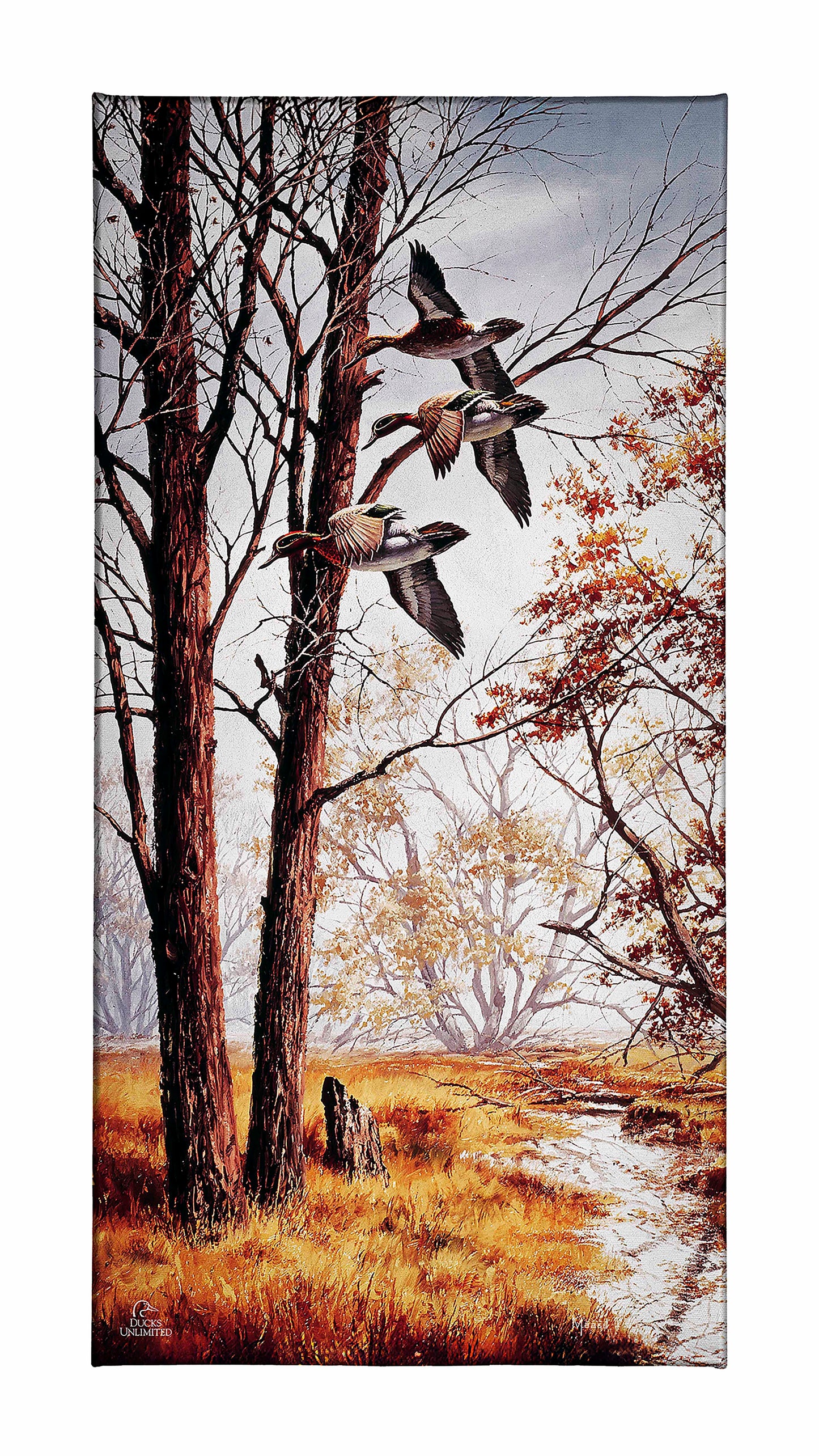 Misty Morning - Green - winged Teal Gallery Wrapped Canvas - Official Ducks Unlimited Art
