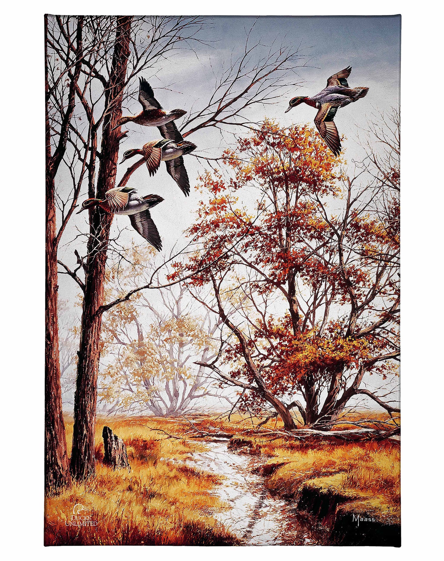 Misty Morning - Green - winged Teal Gallery Wrapped Canvas - Official Ducks Unlimited Art