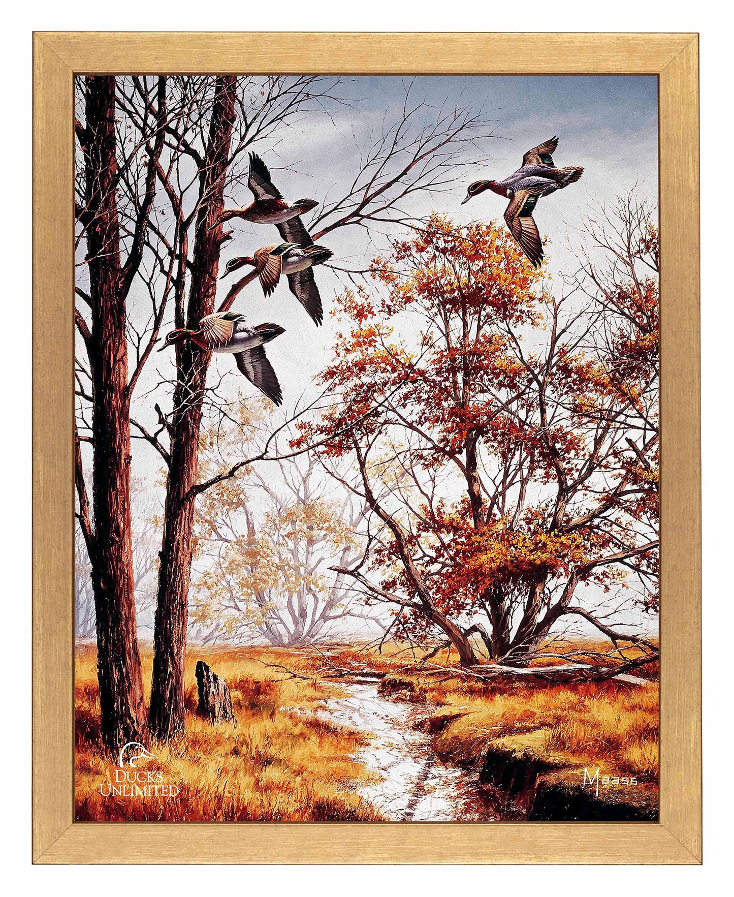 Misty Morning Greenwinged Teal Art Prints - Official Ducks Unlimited Art