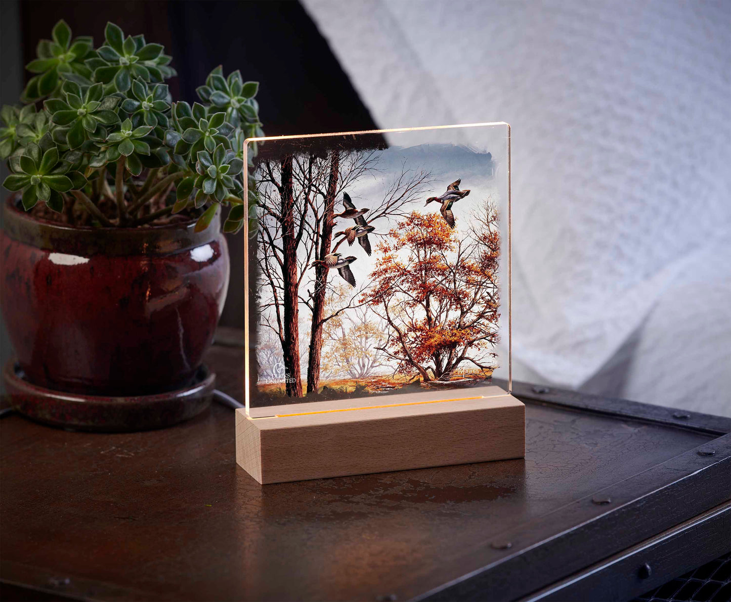 Misty Morning Green winged Teal 6.37" x 6" Acrylic Nightlight - Official Ducks Unlimited Art